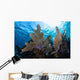 Colorful Set Gorgonians Diverse Wall Decal Design 4