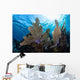 Colorful Set Gorgonians Diverse Wall Decal Design 4