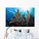 Colorful Set Gorgonians Diverse Wall Decal Design 4
