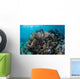 Colorful Set Gorgonians Diverse Wall Decal Design 3