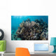 Colorful Set Gorgonians Diverse Wall Decal Design 3