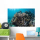 Colorful Set Gorgonians Diverse Wall Decal Design 3