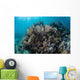 Colorful Set Gorgonians Diverse Wall Decal Design 3