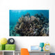 Colorful Set Gorgonians Diverse Wall Decal Design 3