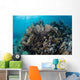 Colorful Set Gorgonians Diverse Wall Decal Design 3
