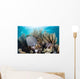 Colorful Set Gorgonians Diverse Wall Decal Design 2