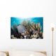 Colorful Set Gorgonians Diverse Wall Decal Design 2