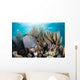 Colorful Set Gorgonians Diverse Wall Decal Design 2