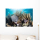 Colorful Set Gorgonians Diverse Wall Decal Design 2