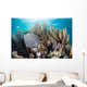 Colorful Set Gorgonians Diverse Wall Decal Design 2