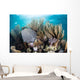 Colorful Set Gorgonians Diverse Wall Decal Design 2