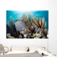 Colorful Set Gorgonians Diverse Wall Decal Design 2