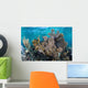 Colorful Set Gorgonians Diverse Wall Decal Design 1
