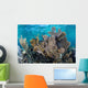 Colorful Set Gorgonians Diverse Wall Decal Design 1