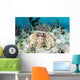 Caribbean Reef Octopus Seafloor Wall Decal Design 1