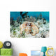 Caribbean Reef Octopus Seafloor Wall Decal Design 1
