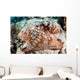 Close-up Caribbean Reef Octopus Wall Decal