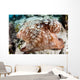 Close-up Caribbean Reef Octopus Wall Decal