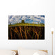 Lily Pads Grow along Wall Decal Design 3