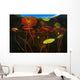 Colorful Lily Pads Grow Wall Decal Design 7