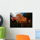 Colorful Lily Pads Grow Wall Decal Design 5