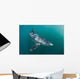 Sleek Blue Shark Swimming Wall Decal Design 18