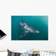 Sleek Blue Shark Swimming Wall Decal Design 18