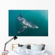 Sleek Blue Shark Swimming Wall Decal Design 18