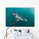 Sleek Blue Shark Swimming Wall Decal Design 18