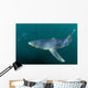 Sleek Blue Shark Swimming Wall Decal Design 17
