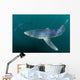 Sleek Blue Shark Swimming Wall Decal Design 17