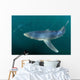Sleek Blue Shark Swimming Wall Decal Design 17