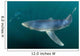 Sleek Blue Shark Swimming Wall Decal Design 17