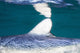 Close-up Dorsal Fin Blue Wall Decal Design 2