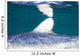 Close-up Dorsal Fin Blue Wall Decal Design 2