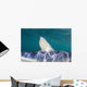 Close-up Dorsal Fin Blue Wall Decal Design 1