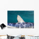 Close-up Dorsal Fin Blue Wall Decal Design 1