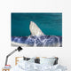 Close-up Dorsal Fin Blue Wall Decal Design 1