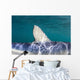 Close-up Dorsal Fin Blue Wall Decal Design 1