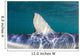 Close-up Dorsal Fin Blue Wall Decal Design 1