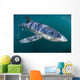 Sleek Blue Shark Swimming Wall Decal Design 16