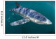Sleek Blue Shark Swimming Wall Decal Design 16