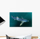 Sleek Blue Shark Swimming Wall Decal Design 15