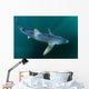 Sleek Blue Shark Swimming Wall Decal Design 15