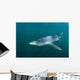 Sleek Blue Shark Swimming Wall Decal Design 14