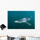 Sleek Blue Shark Swimming Wall Decal Design 14