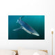 Sleek Blue Shark Swimming Wall Decal Design 13