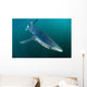 Sleek Blue Shark Swimming Wall Decal Design 13
