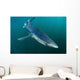 Sleek Blue Shark Swimming Wall Decal Design 13