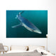 Sleek Blue Shark Swimming Wall Decal Design 13